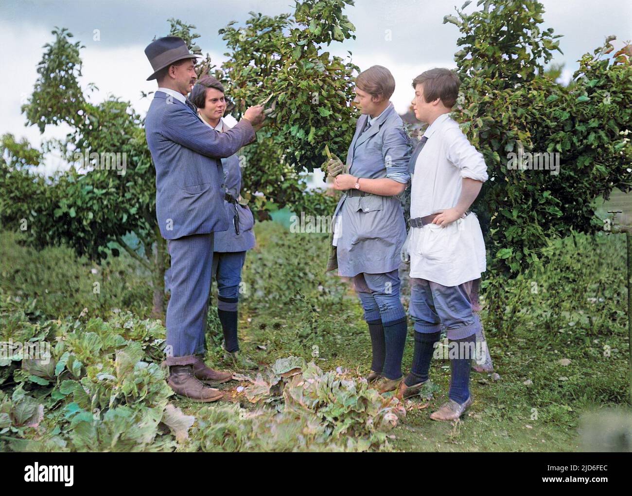 Young women students being taught how to harvest, Swanley Agricultural College, Kent, Engalnd. Colourised version of : 10164557       Date: early 1930s Stock Photo