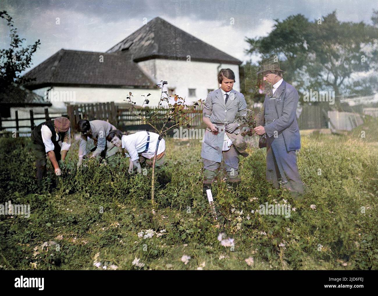 Young women students being taught how to harvest, Swanley Agricultural College, Kent, Engalnd. Colourised version of : 10164552       Date: early 1930s Stock Photo