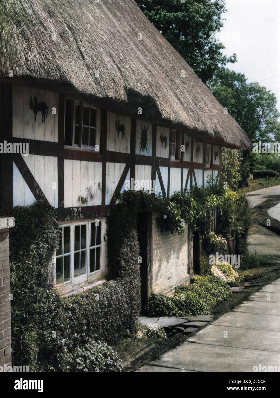 The Cat House' a curious thatched cottage decorated with cat motifs, Henfield, Sussex, England. Colourised version of : 10180439       Date: 1950s Stock Photo