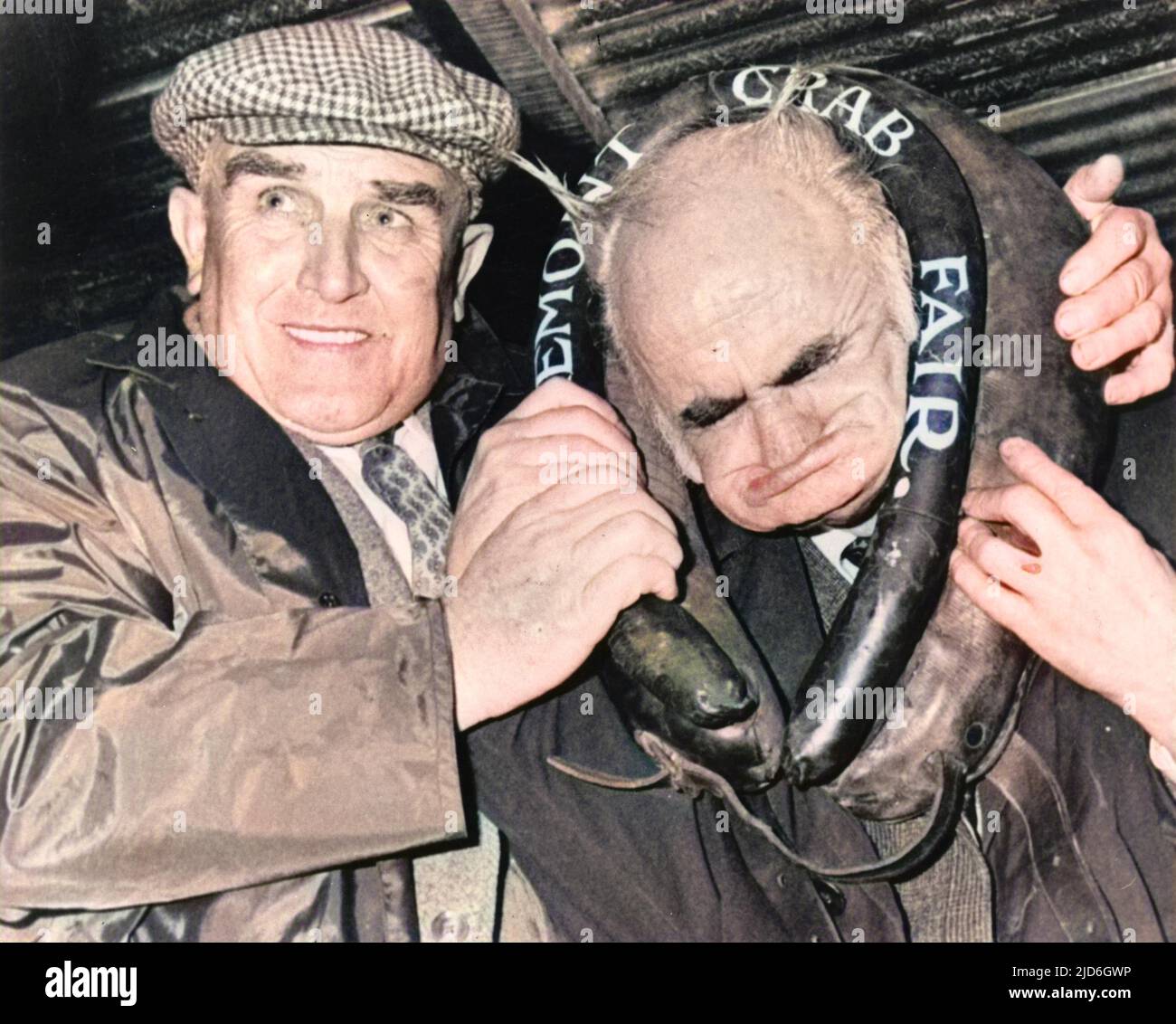 An old man gurner with his ugly face through a leather ring at the gurning contest at Egremont Crab Fair, Whitehaven, Cumbria, England. Colourised version of : 10185603       Date: 1980s Stock Photo