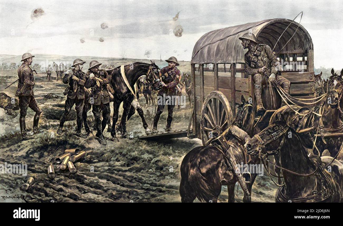 An ambulance for wounded horses on the battlefield : the Canadian Mounted  Veterinary Corps at work with field artillery. Men of the Mounted Section  of the Canadian Veterinary Corps are seen collecting