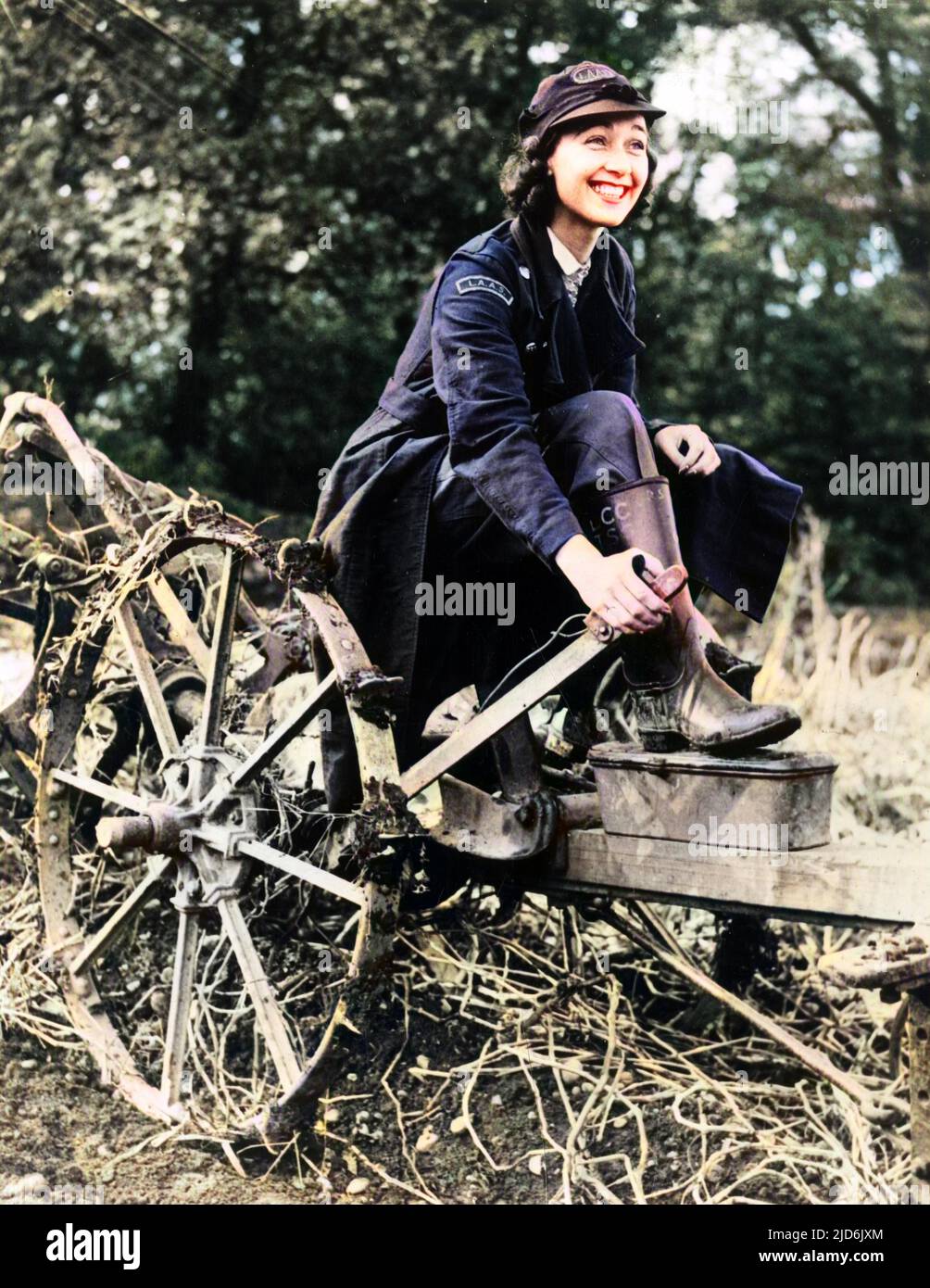 WW2 - British Home front, October 1941 - Mrs John Steel, daughter of Sir Bernard Spilsbury, British Pathologist, lends her hand to the war effort. A member of the London Auxiliary Ambulance Service (L.A.A.S.) as a Driver, she is seen here on the land of a Hospital Farm in Essex (where she is stationed), helping to dig potatoes. Colourised version of: 10998604       Date: 1941 Stock Photo