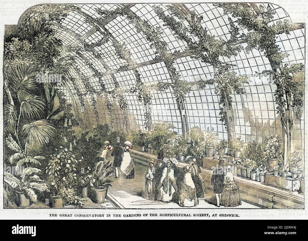 People inside the large conservatory (or greenhouse) of the Horticultural Society at Chiswick, west London. Colourised version of: 10000783       Date: 1850 Stock Photo