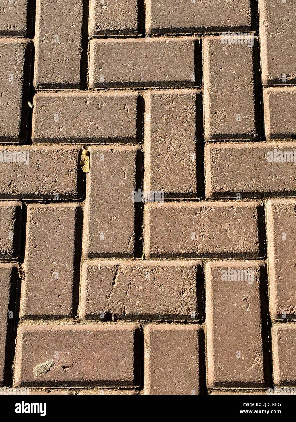geometric pattern of a floor covering Stock Photo