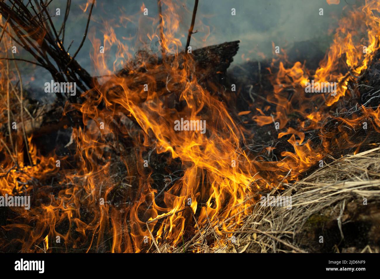 Burning of garbage. Set fire to illegal landfill. Flames and smoke