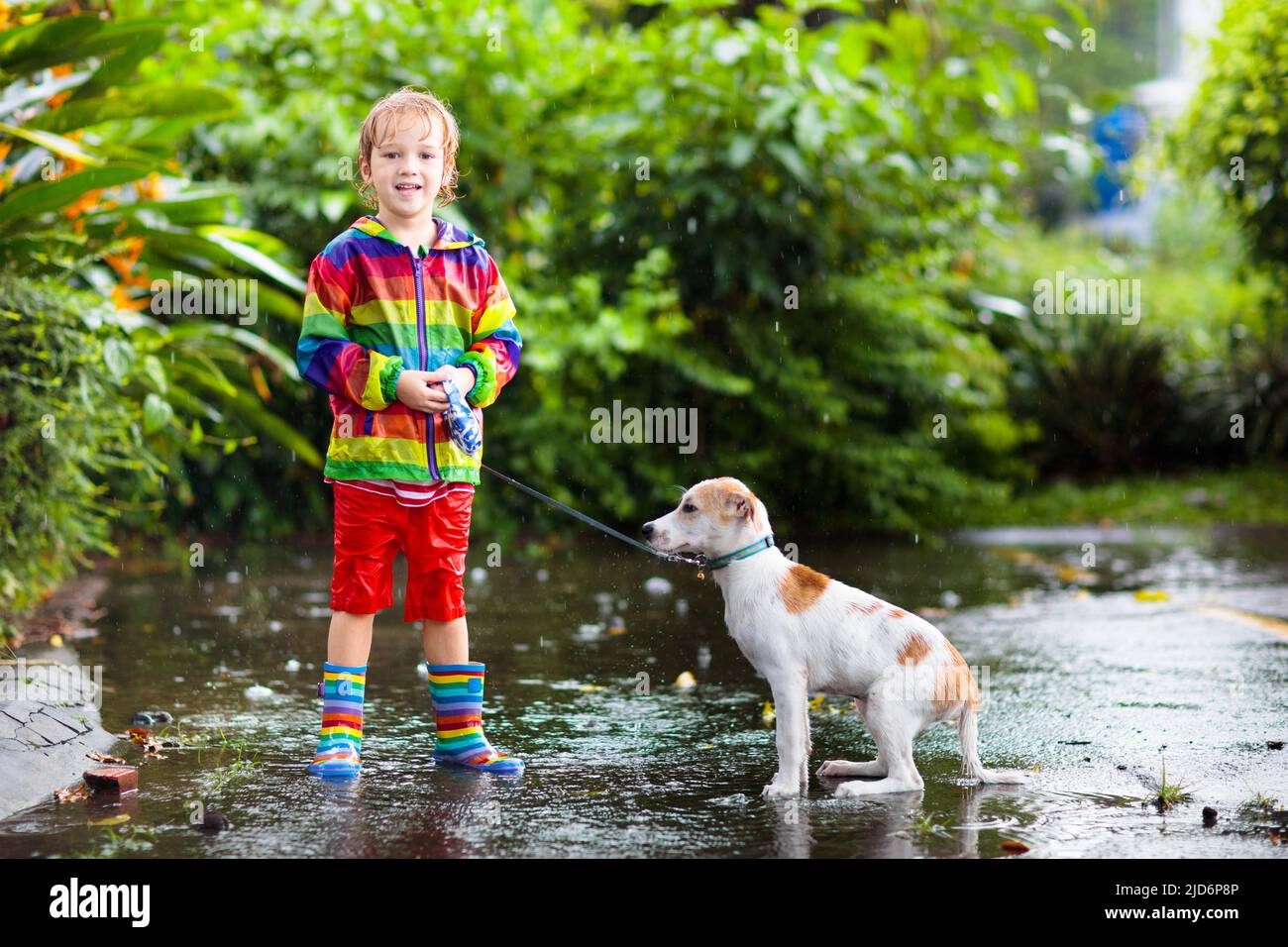 Kid and dog playing in the rain in autumn park. Child walking puppy