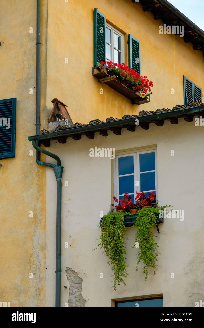 Vibrant flowers adorn windows in the traditional architecture of Lucca, Italy. Stock Photo