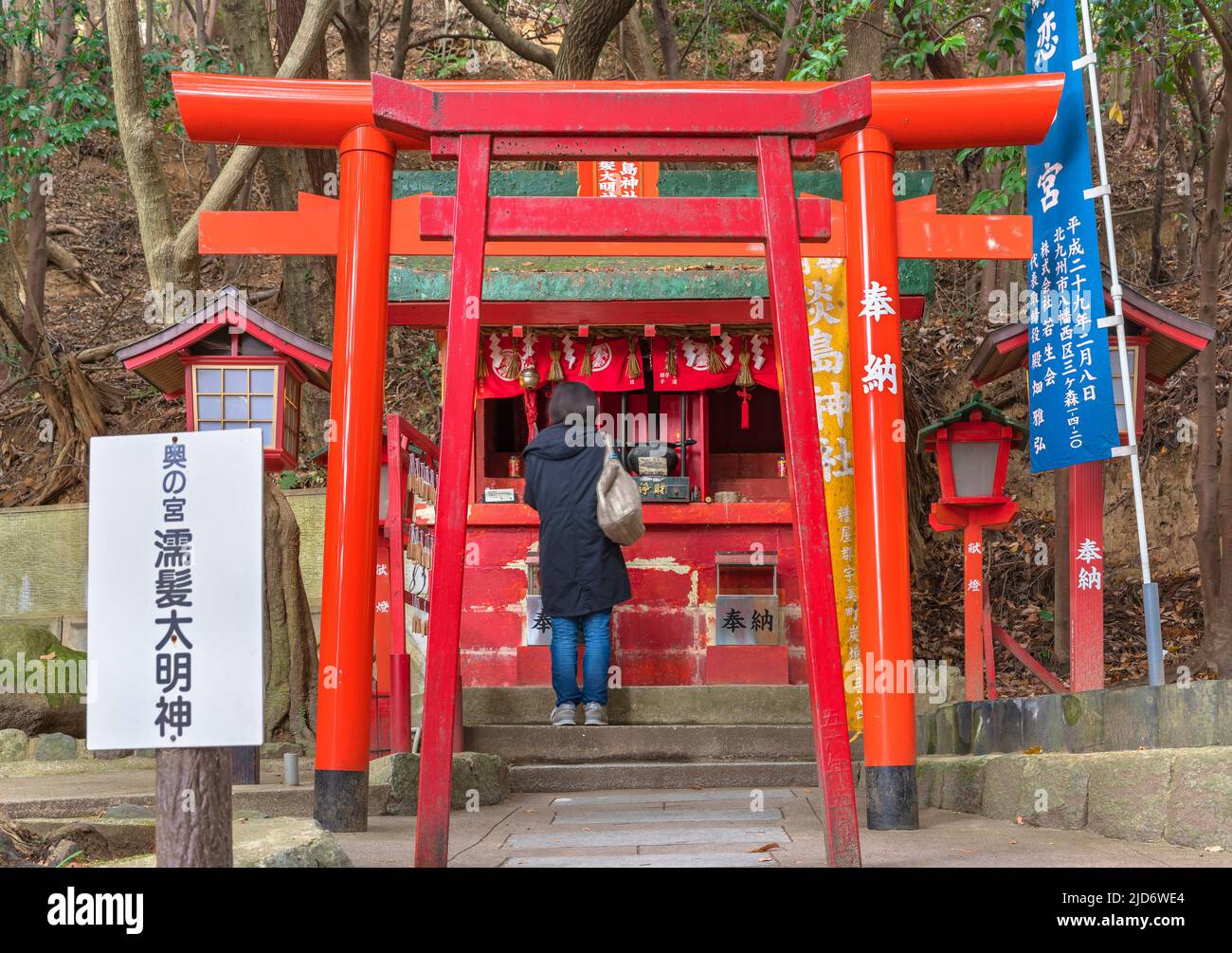 kyushu, japan - december 08 2021: Woman from back praying in front of torii gates of the Nuregami Daimyojin shrine part of one of the eight Okunomiya Stock Photo