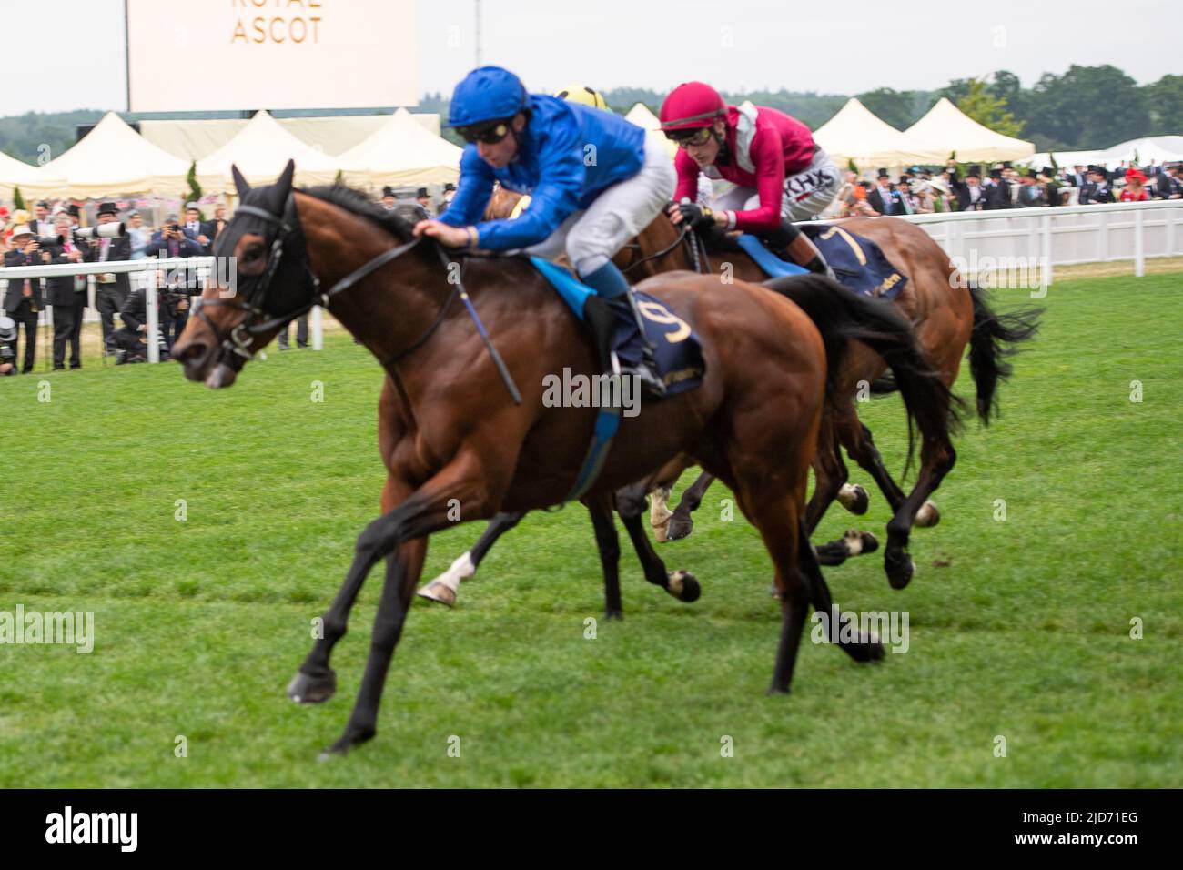 Ascot, Berkshire, UK. 18th June, 2022. Horse Noble Truth ridden by jockey William Buick wins the Jersey Stakes. Owner, Godolphin. Trainer Charlie Appleby. Credit: Maureen McLean/Alamy Live News Stock Photo
