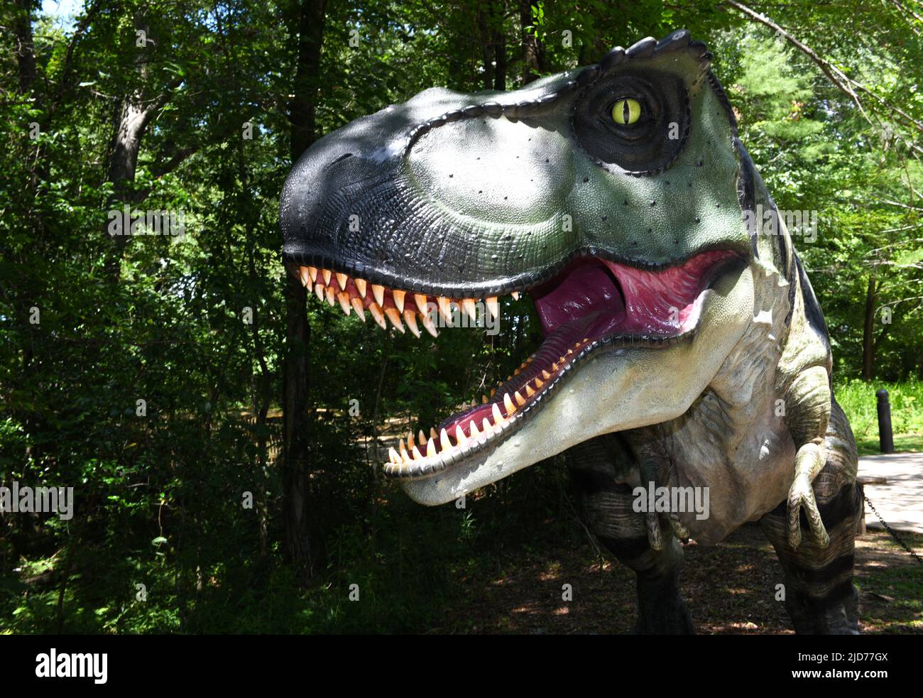 Tyrannosaurus Rex. Stock Photo