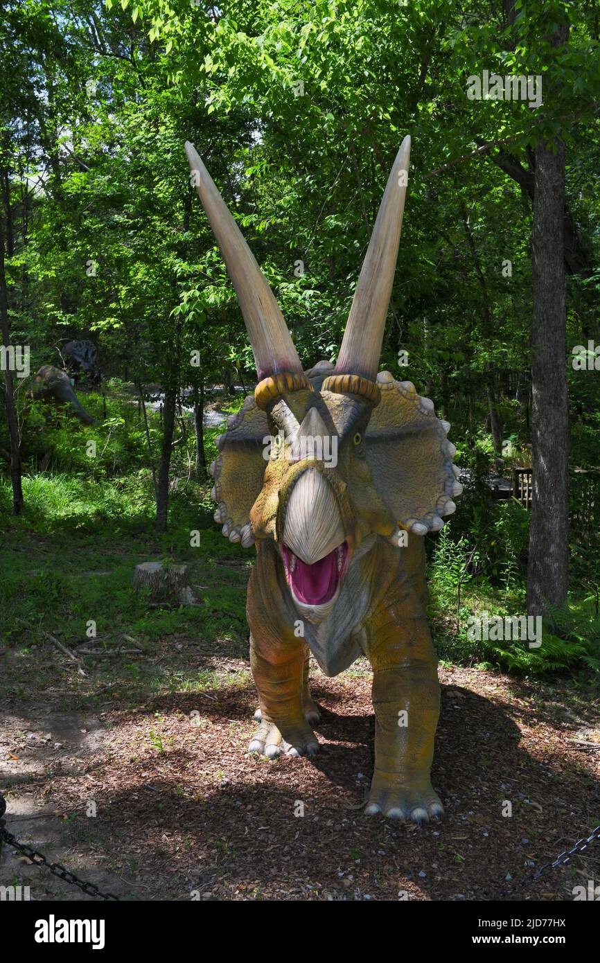 Prehistoric triceratops. Stock Photo