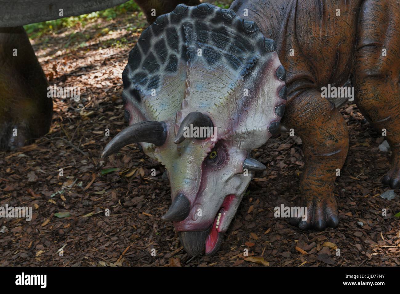 A baby triceratops. Stock Photo