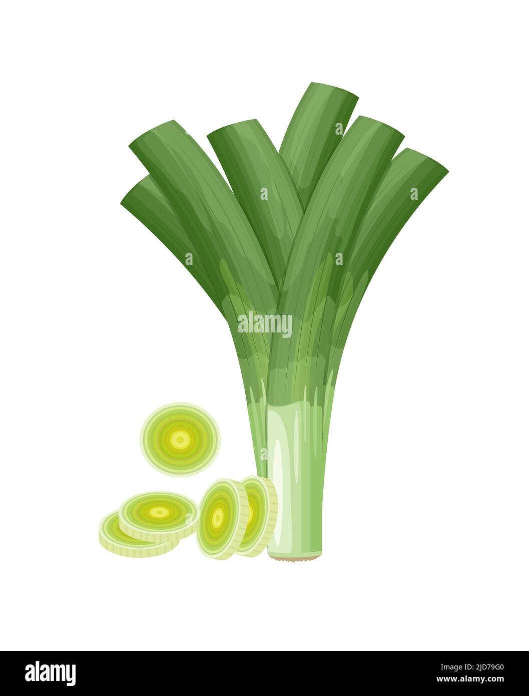 Leek onion with slices, flat cartoon style vector illustration isolated