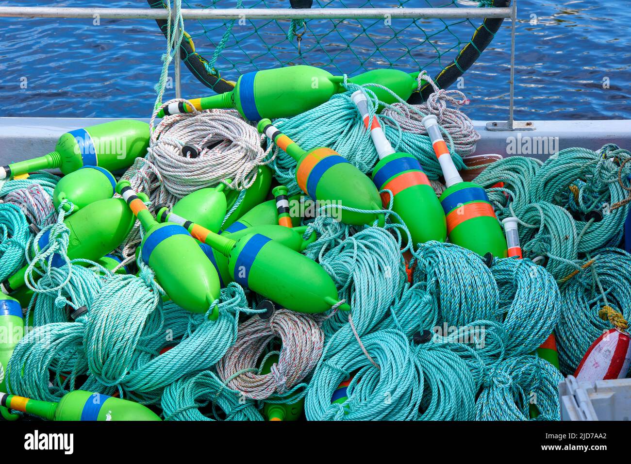 Colourful bouys used to mark the location of lobster traps underwater