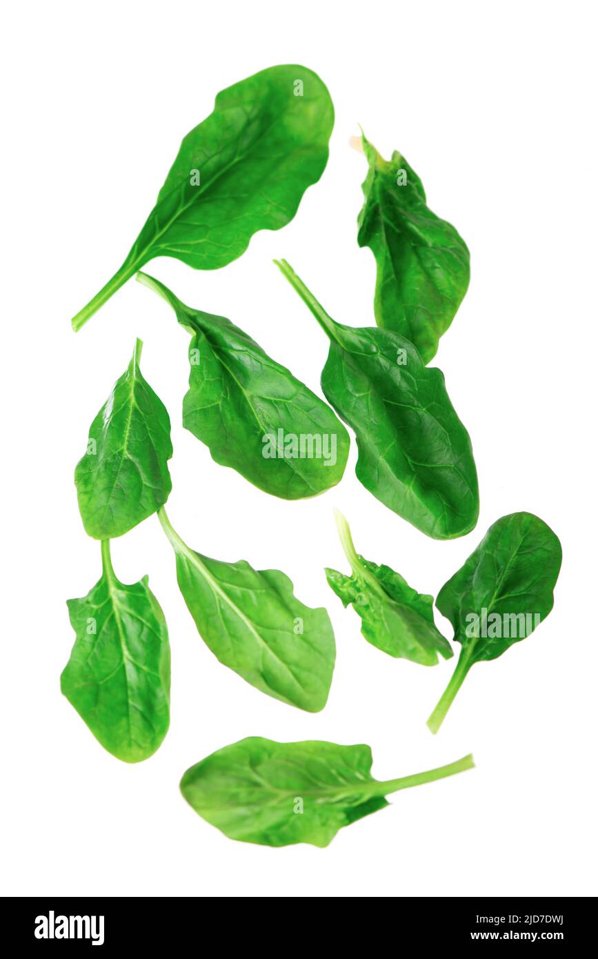 Pile of fresh green healthy baby spinach leaves on white background ...