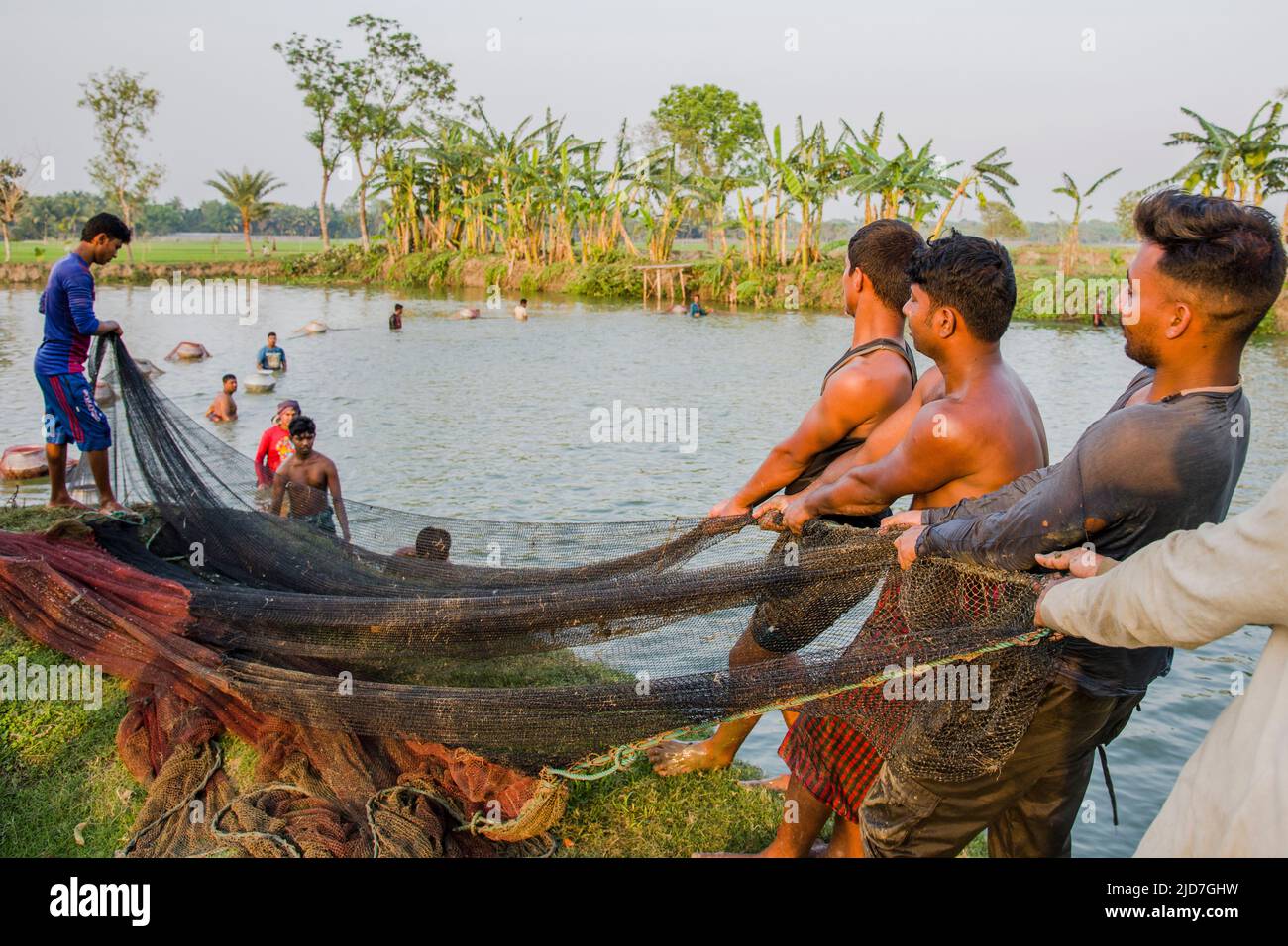Fishermen are fishing in a pond in Satkhira district of southern Bangladesh. Fish is the main cash crops to this farmers and main source of nuttrition Stock Photo