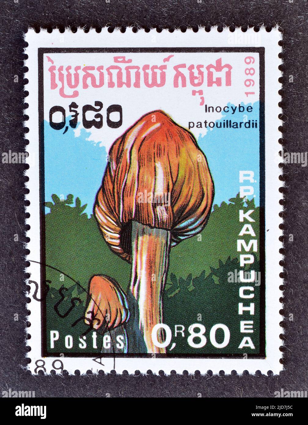 Cancelled postage stamp printed by Cambodia, that shows Inocybe patouillardii - the deadly fibre cap, brick-red tear mushroom or red-staining Inocybe, Stock Photo