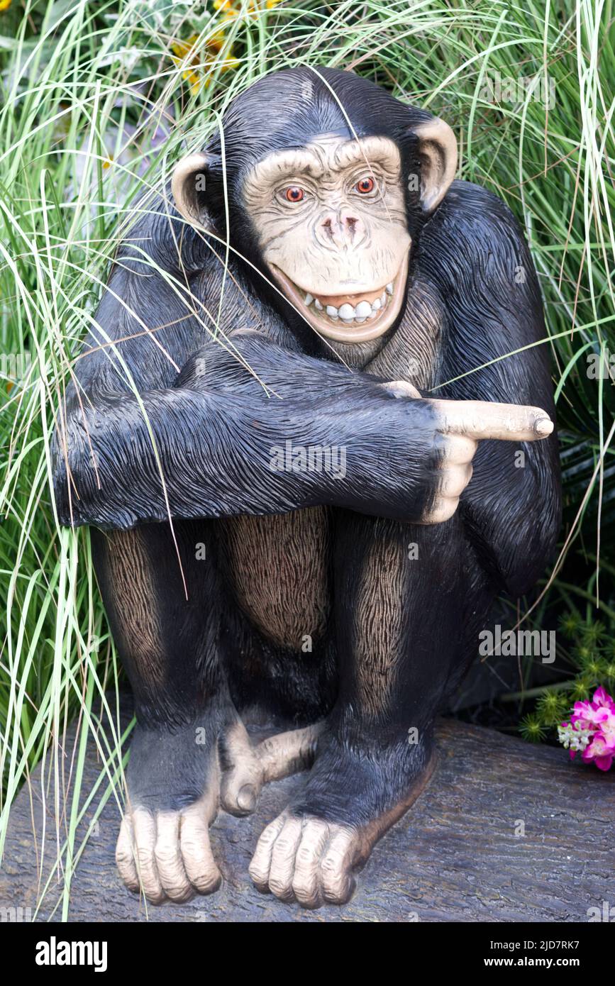 pointing monkey statue in reeds Stock Photo