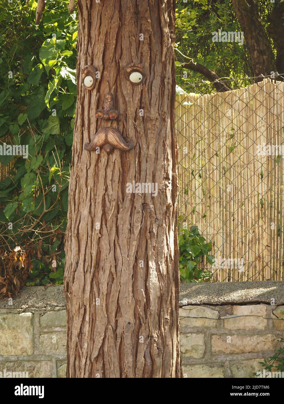 Face sculpture with moustache on tree trunk at Radstock, Somerset. Stock Photo