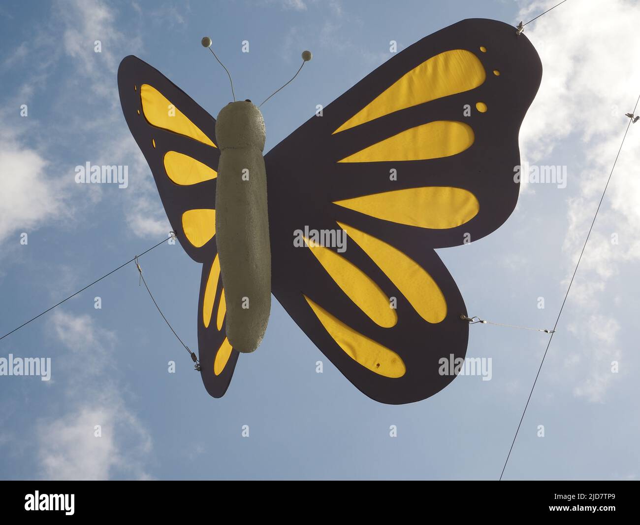Butterfly installation at Southgate, Bath in May and June 2022, supporting the work of Trauma Breakthrough. Represents hope and freedom. Stock Photo
