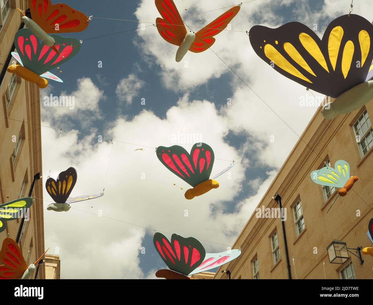 Butterfly installation at Southgate, Bath in May and June 2022, supporting the work of Trauma Breakthrough. Represents hope and freedom. Stock Photo