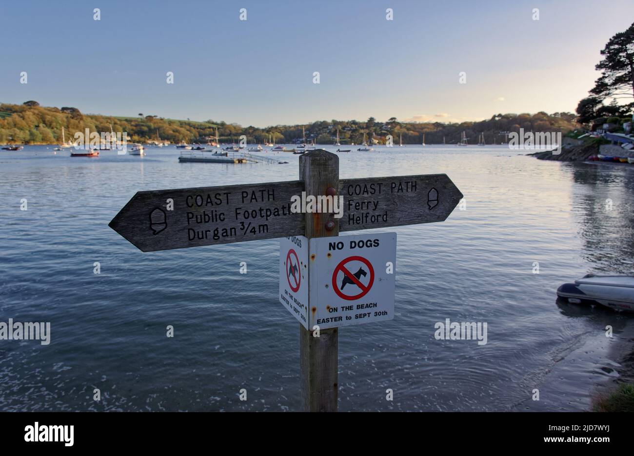 helford passage, cornwall golden hour Stock Photo Alamy