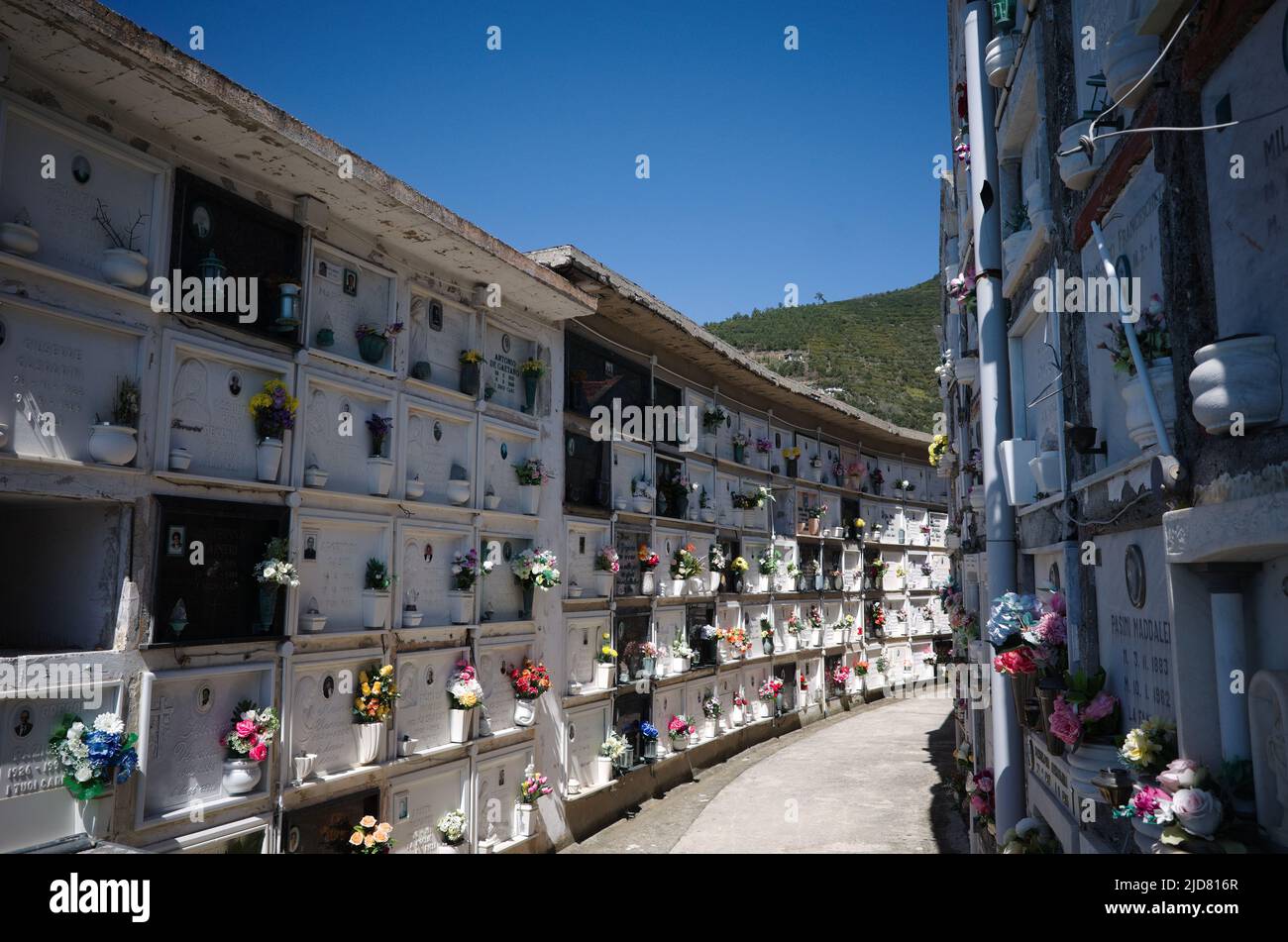 Riomaggiore, Italy - April, 2022: Columbarium in Italian cemetery with white cells and flowers next to each cell. Passage between two rows of burial Stock Photo