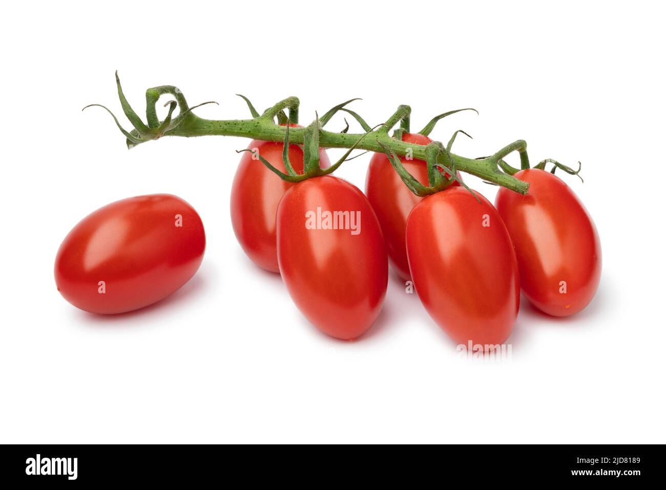 Fresh Red Desire, mini plum tomatoes on a twig isolated on white background Stock Photo