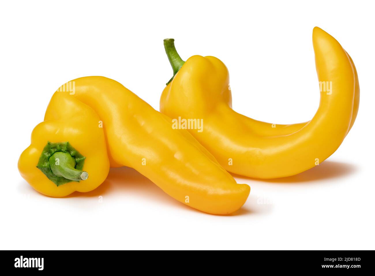 Pair of yellow deformed homegrown yellow pointed bell peppers isolated on white background Stock