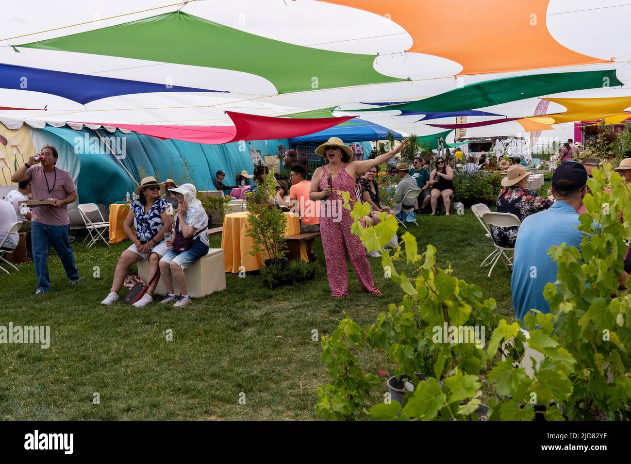 2022 New Mexico Wine Festival at the Balloon Fiesta Park Stock Photo
