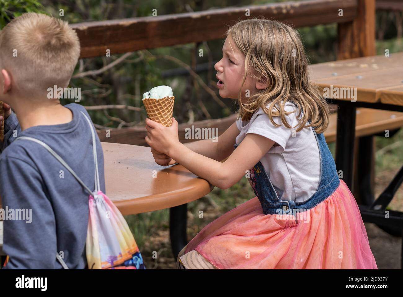 Children enjoy ice cream at Cheyenne Mountain Zoo in Colorado Springs