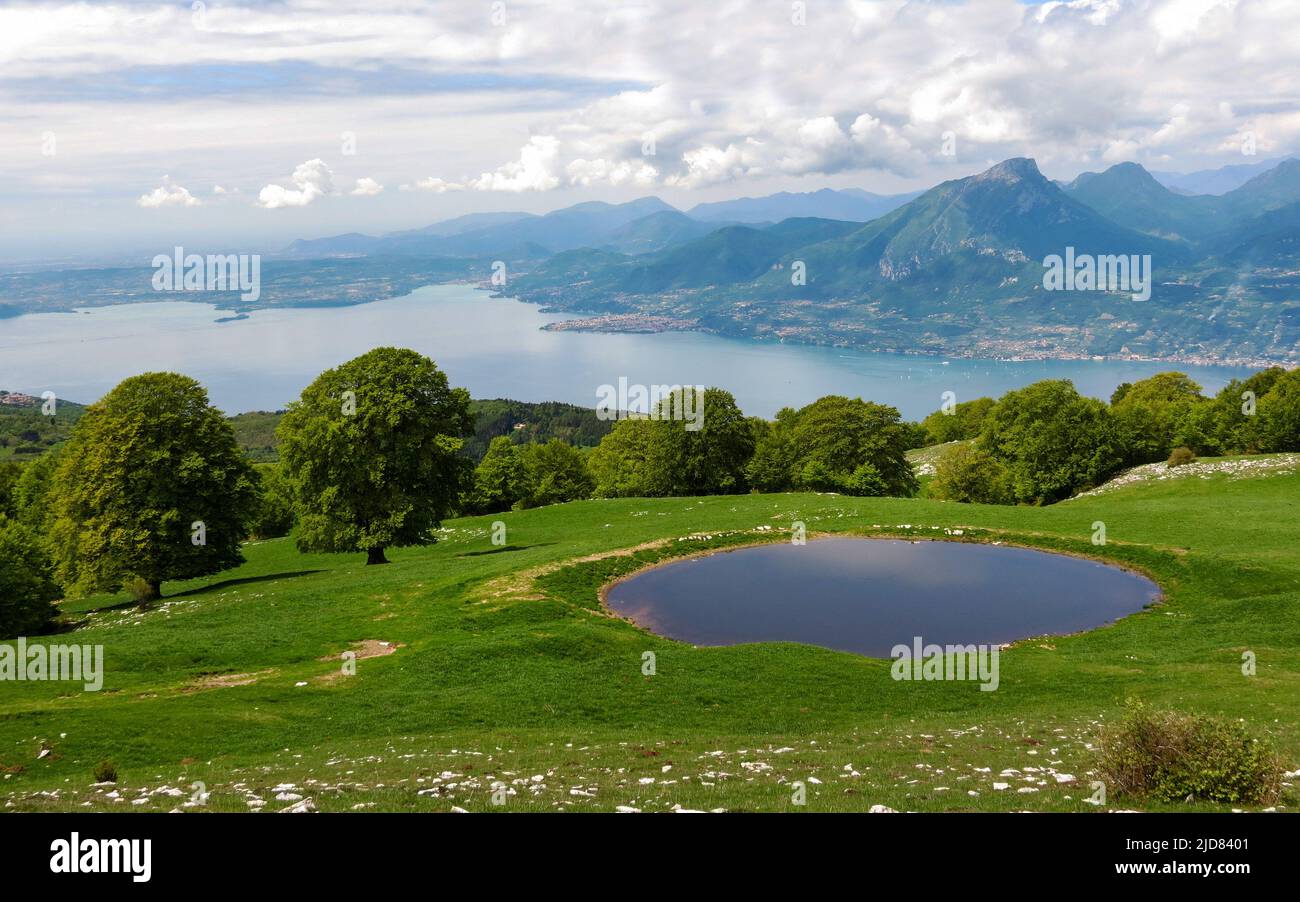 Mountain pasture lake. Beech trees, meadow of Monte Baldo. Lake Garda. Prealpi Gardesane. Veneto. Italy. Europe. Stock Photo