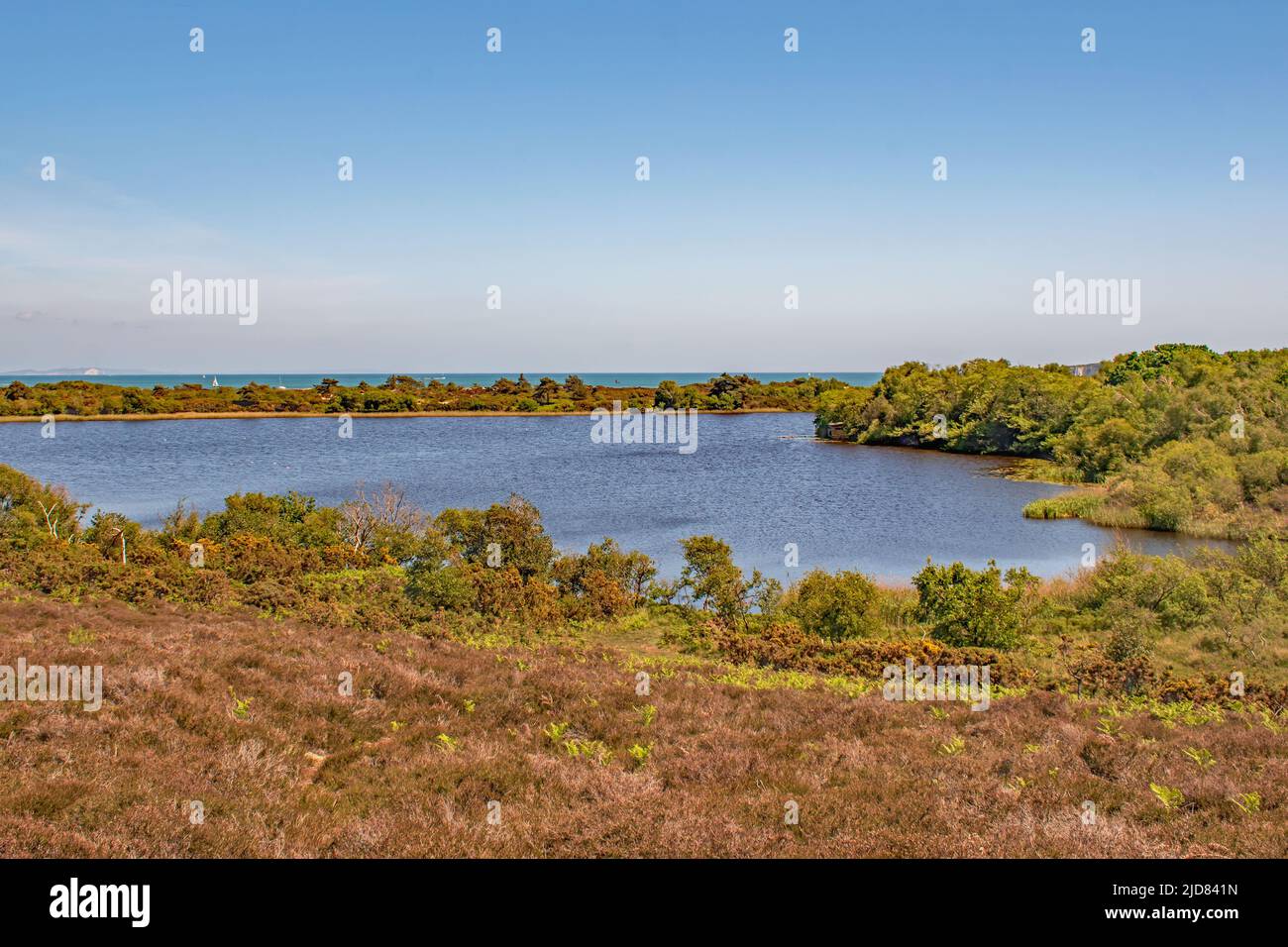 A view across an enclosed lake at Sandbanks Nature Reserve to the sea Dorset England Stock Photo