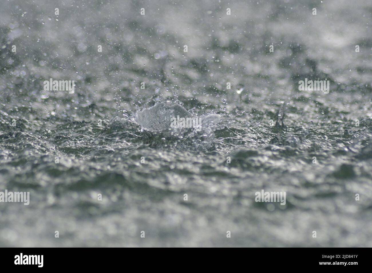 Raindrops splash in a puddle hi-res stock photography and images - Alamy