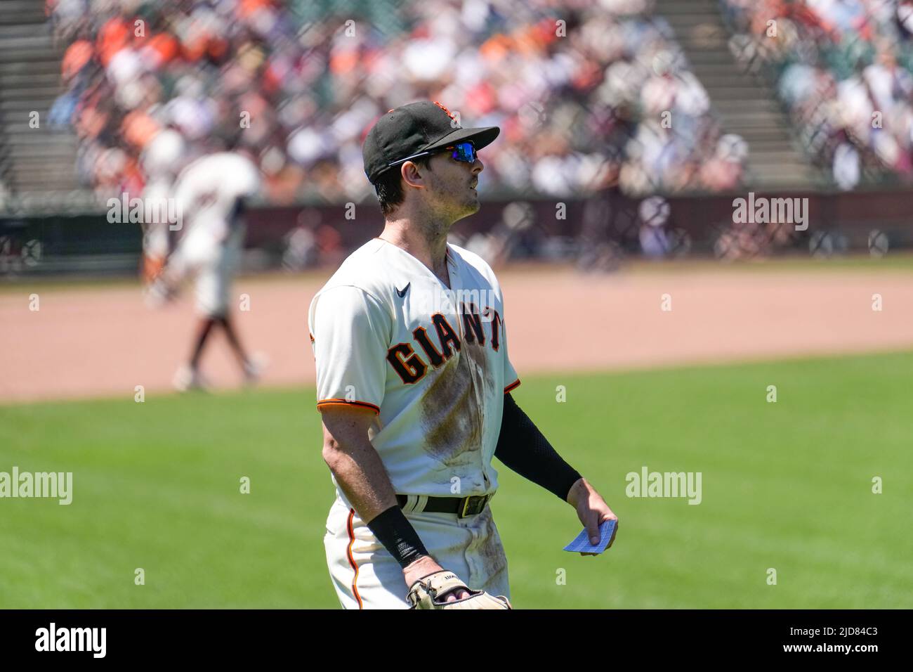 San Francisco Giants Outfielder Mike Yastrzemski (5) during an MLB game