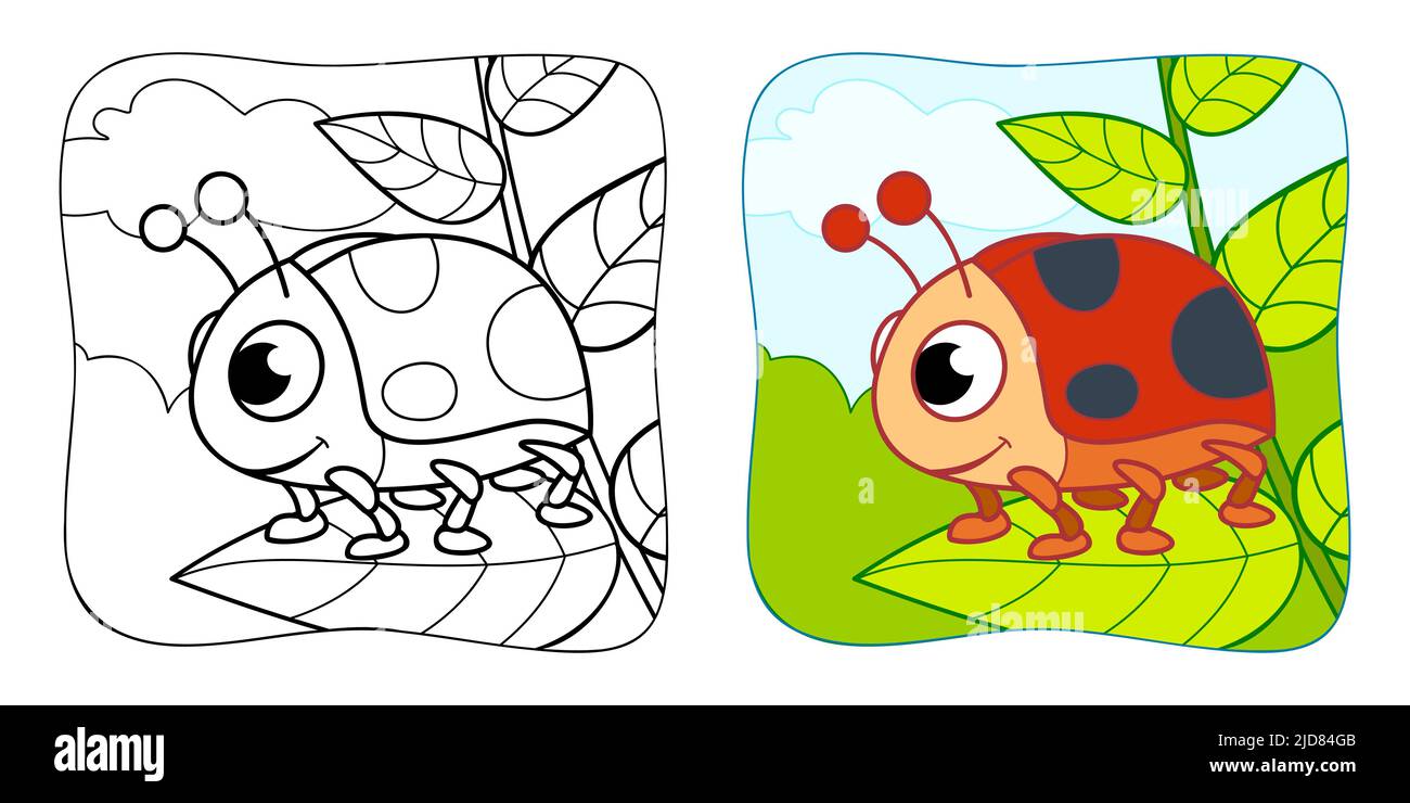 Coloring book or Coloring page for kids. ladybug vector illustration ...