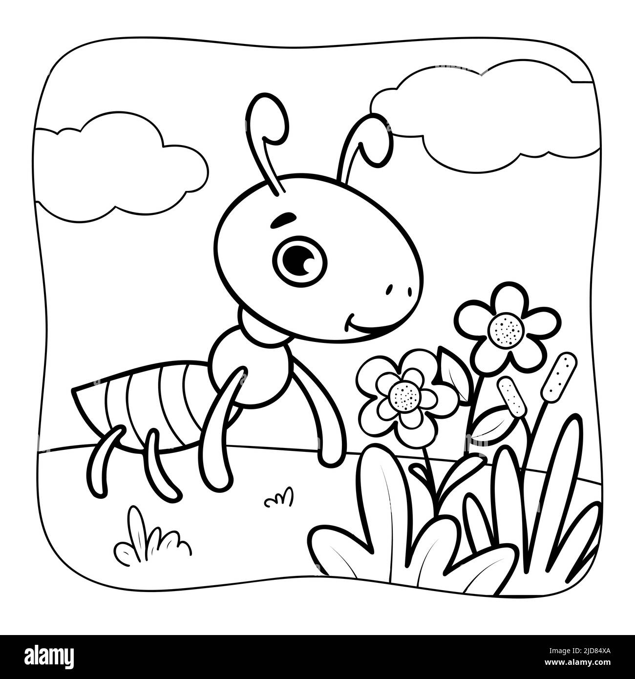 Ant black and white. Coloring book or Coloring page for kids. Nature ...