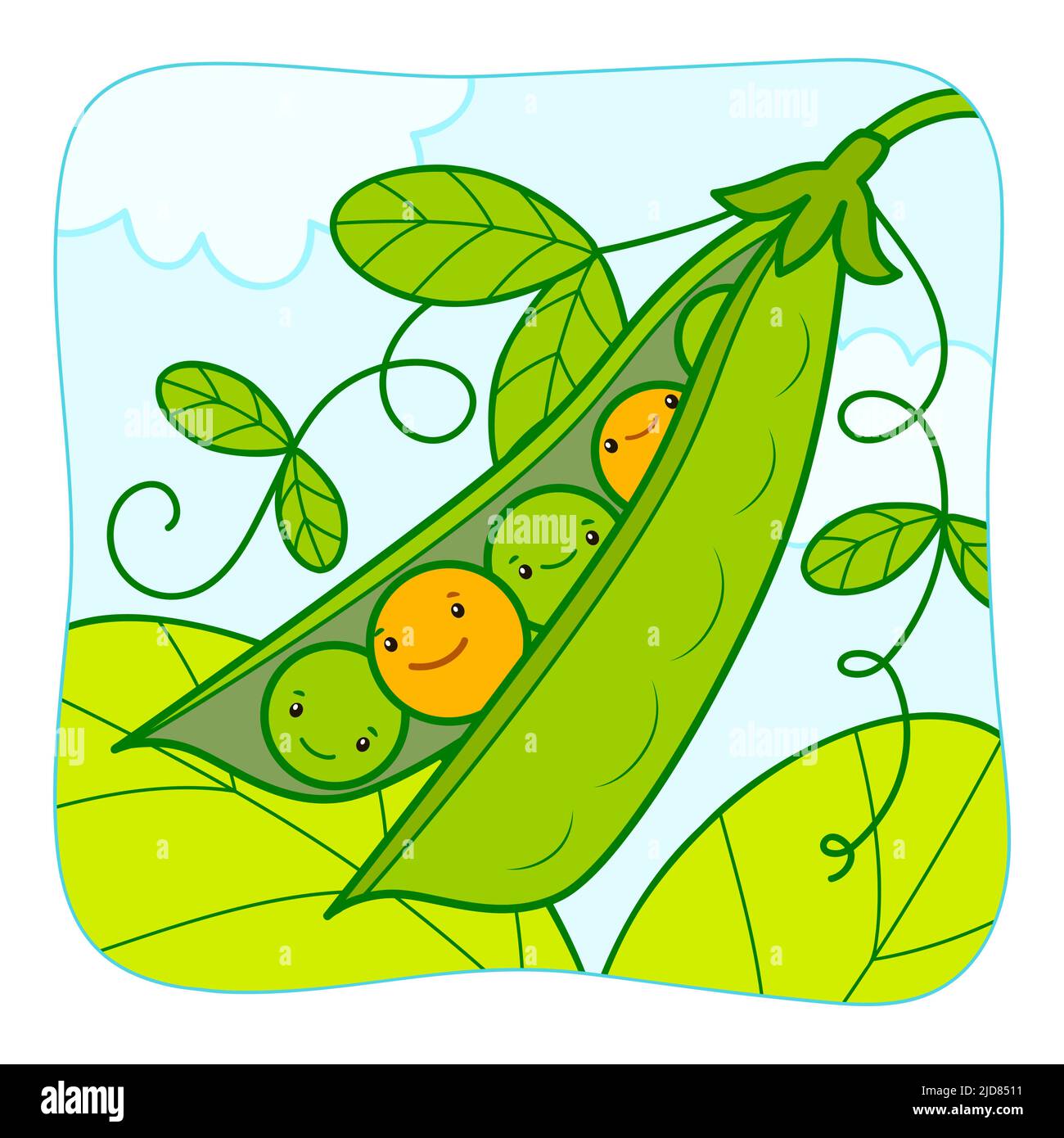 Cute Peas cartoon. Peas clipart vector illustration. Nature background  Stock Vector Image & Art - Alamy