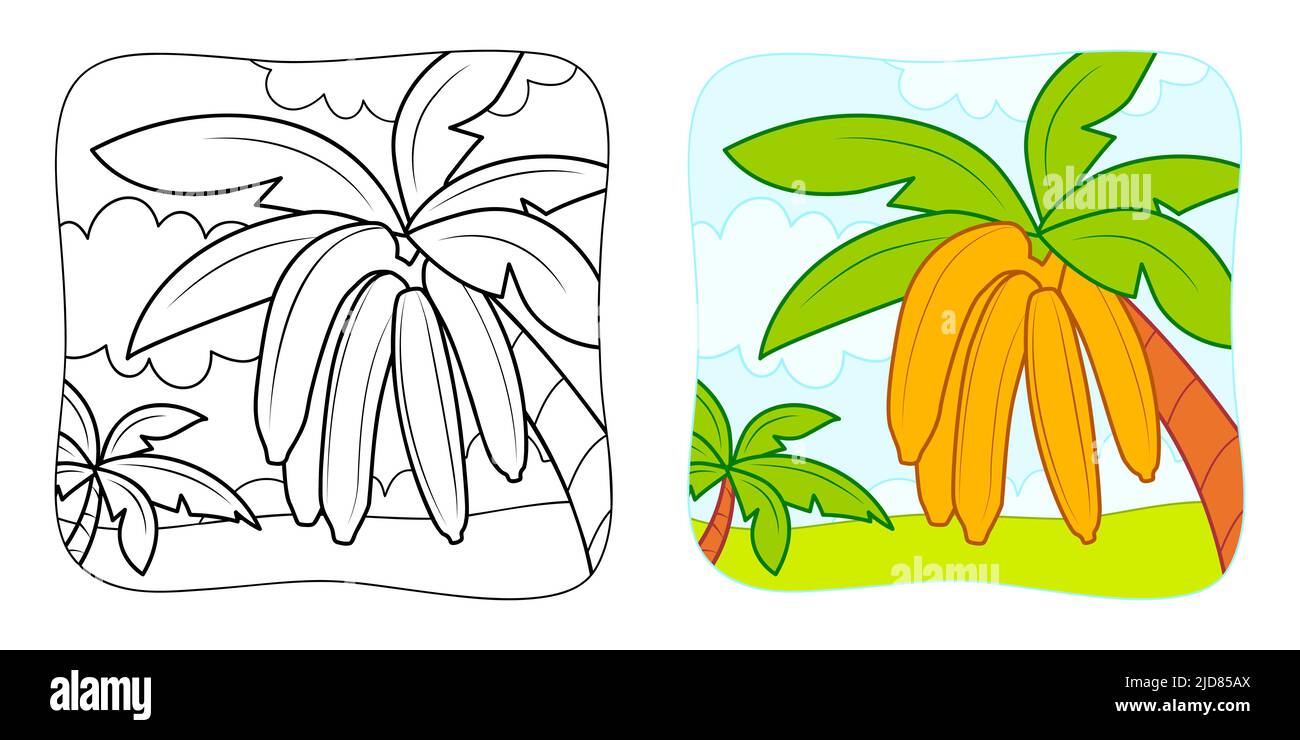 Coloring book or Coloring page for kids. Bananas vector illustration ...