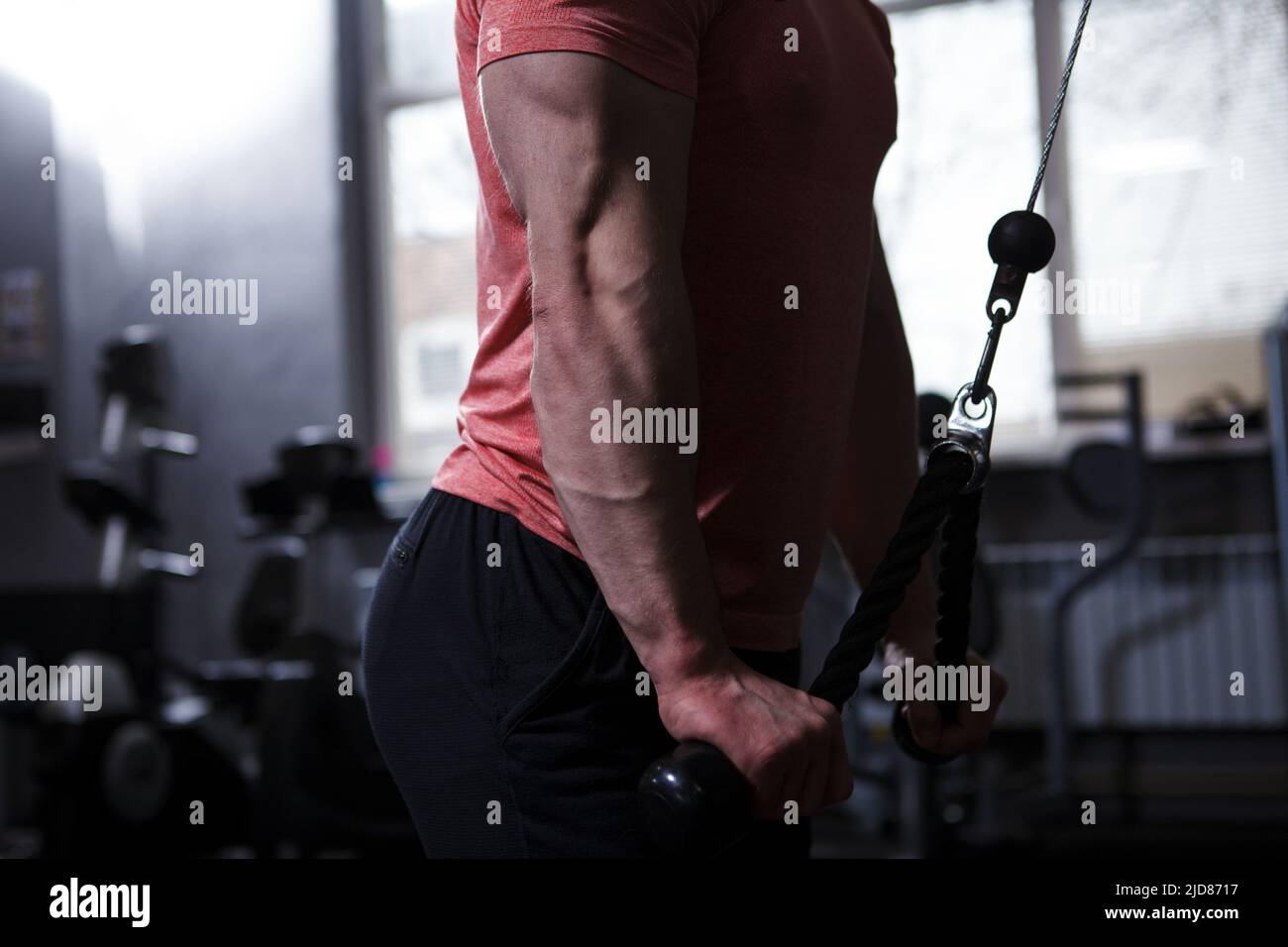 Cropped shot of ripped muscular arms of a bodybuilder during cable ...