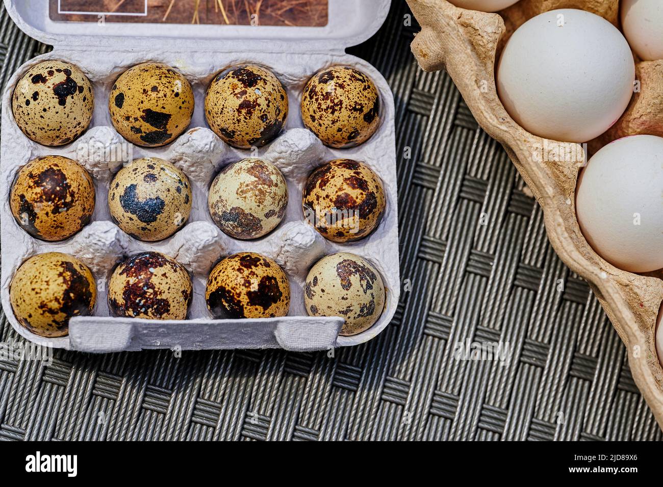 Box of fresh quail eggs with speckled shell with chicken eggs on the right. Stock Photo