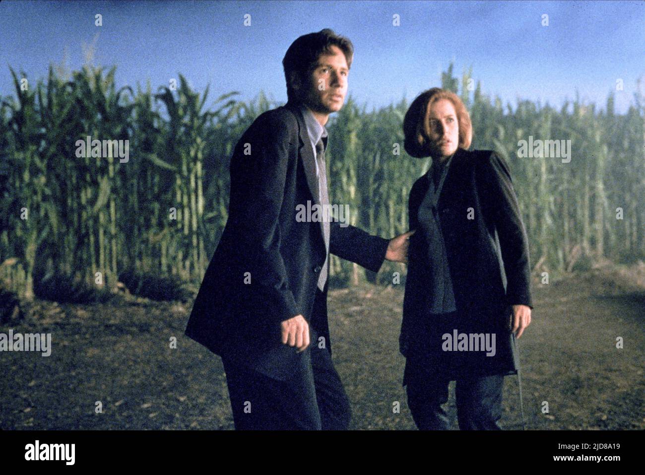 DUCHOVNY,ANDERSON, THE X FILES, 1998 Stock Photo