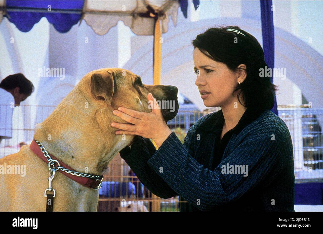 GAROFALO,DOG, THE TRUTH ABOUT CATS AND DOGS, 1996 Stock Photo - Alamy