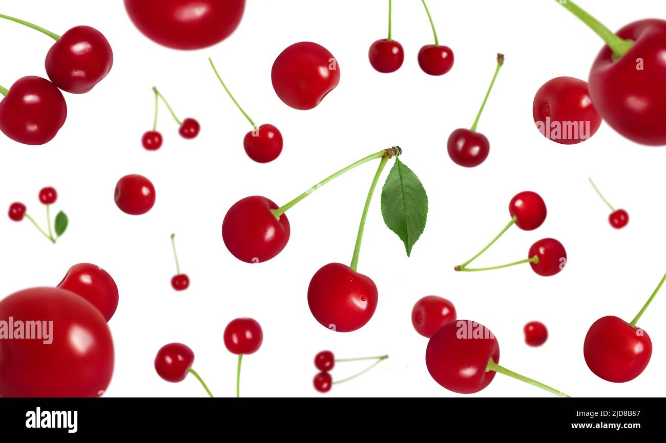 Flying cherry isolated on a white background. Falling red cherry berries. Berry fly pattern. Design for packaging. Stock Photo