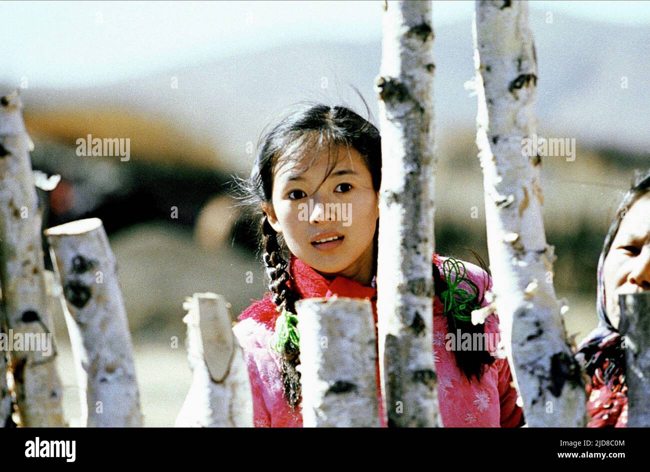 ZIYI ZHANG, THE ROAD HOME, 1999 Stock Photo