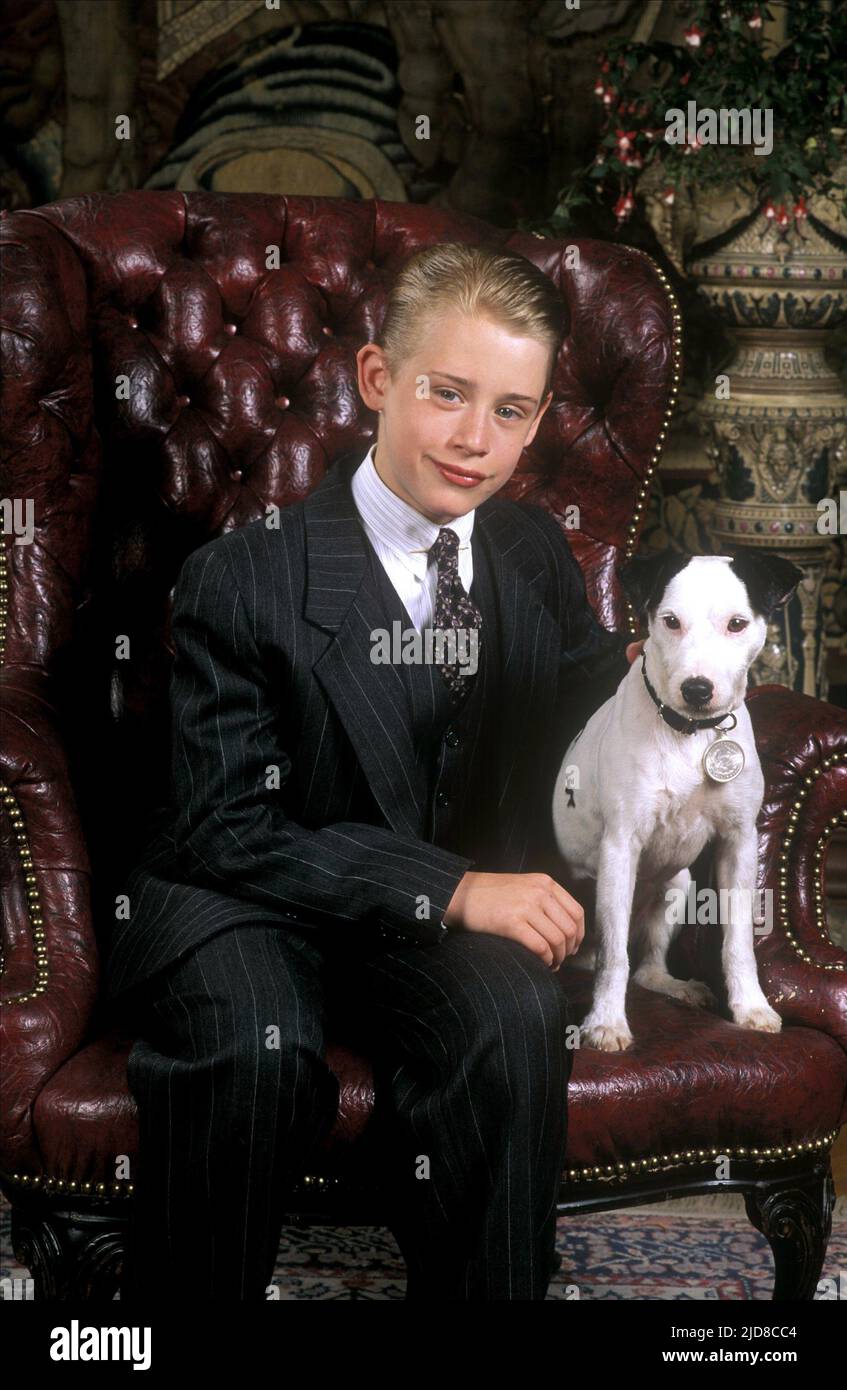 Richie rich dog name