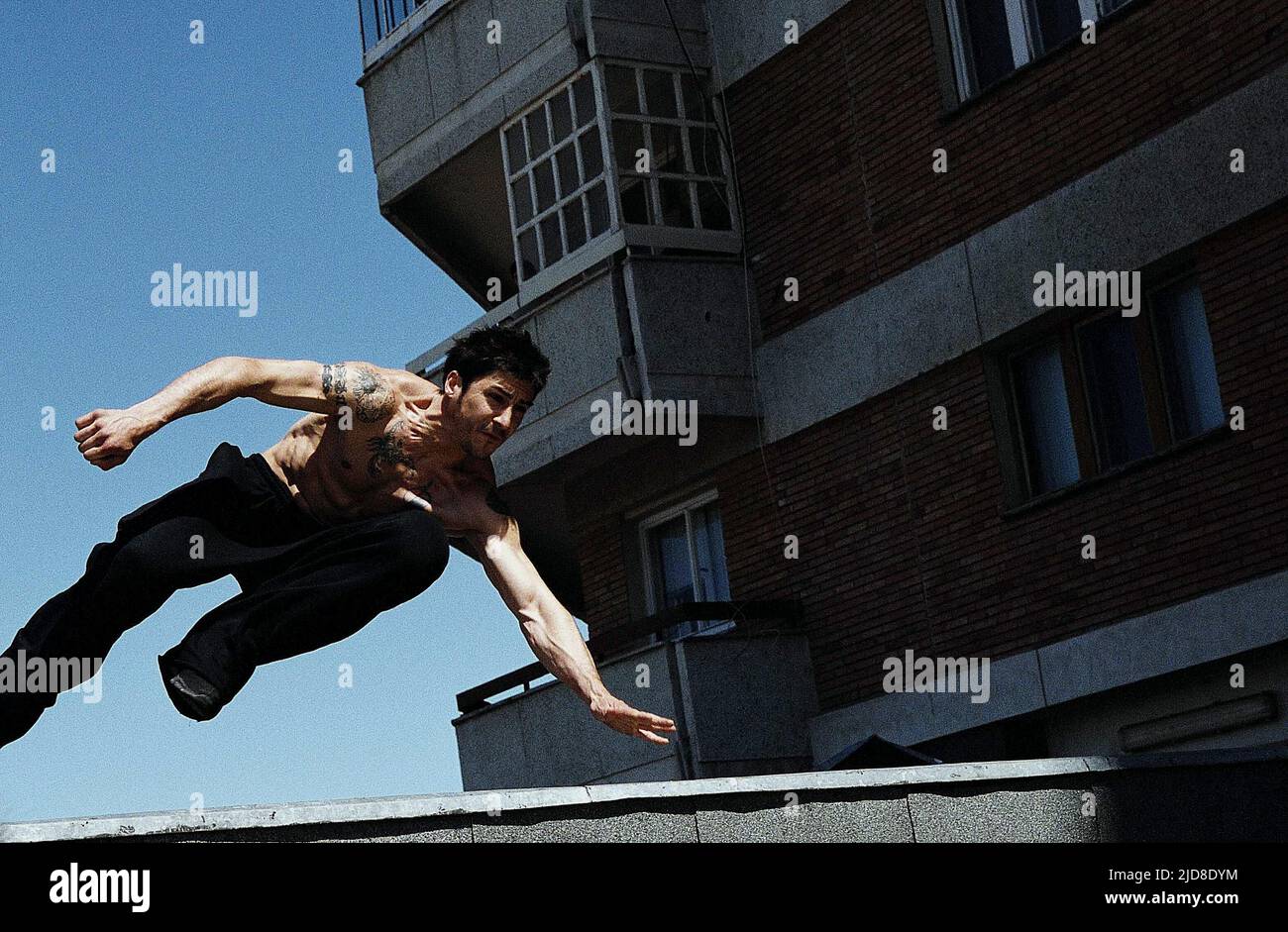 David Belle The Family