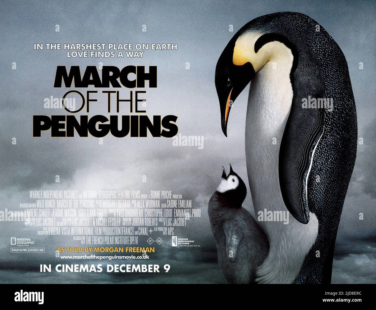 ANTARCTIC EMPEROR PENGUINS POSTER, MARCH OF THE PENGUINS, 2005, Stock Photo