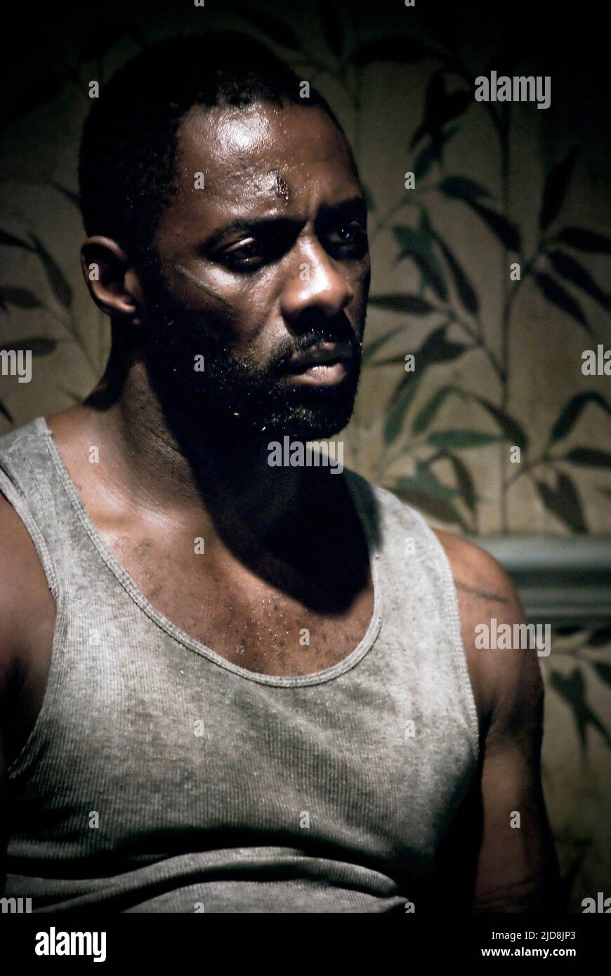 IDRIS ELBA, LEGACY, 2010 Stock Photo - Alamy
