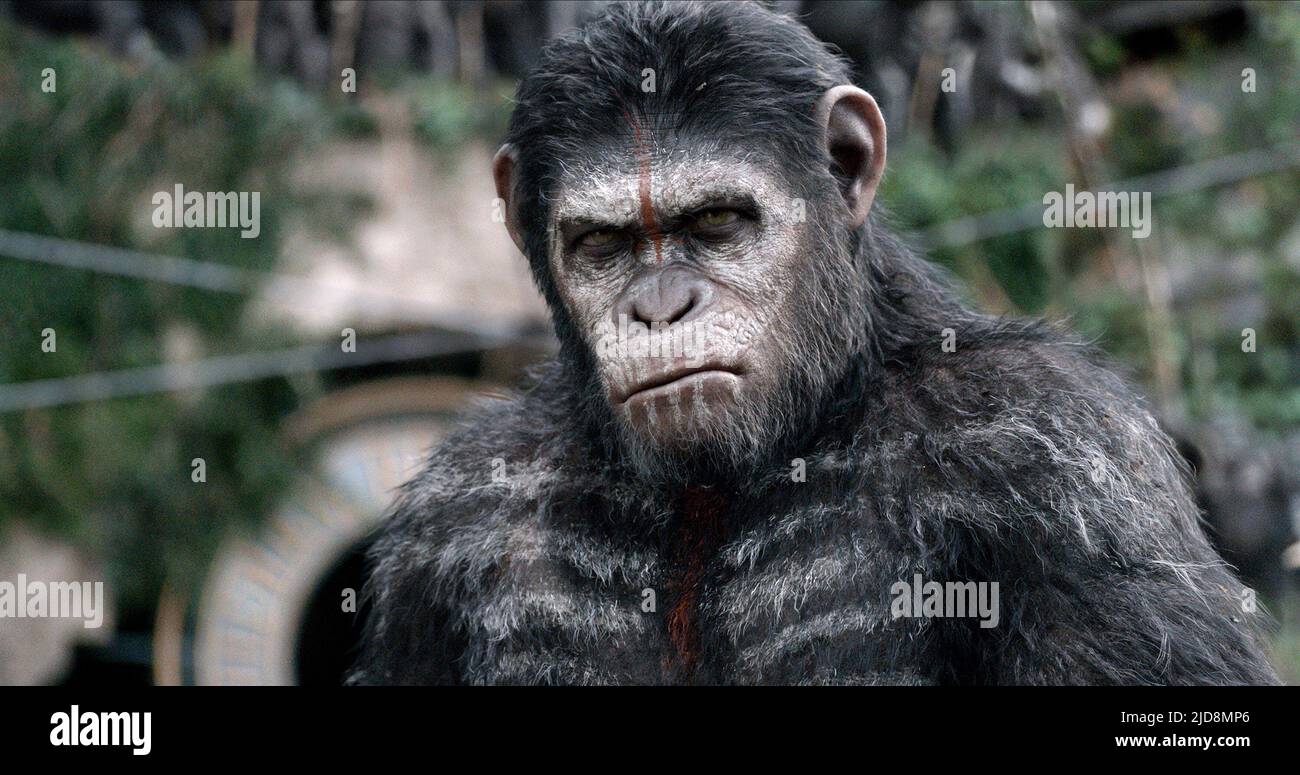 CAESAR, DAWN OF THE PLANET OF THE APES, 2014, Stock Photo